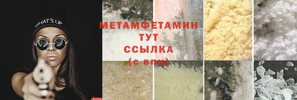 ПСИЛОЦИБИНОВЫЕ ГРИБЫ Дмитриев