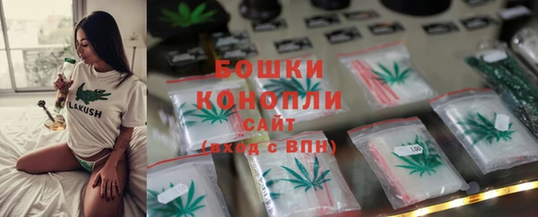 стафф Гусев