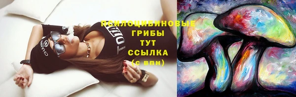 ешки Дмитровск