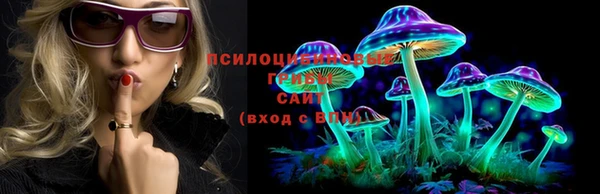 ПСИЛОЦИБИНОВЫЕ ГРИБЫ Дмитриев