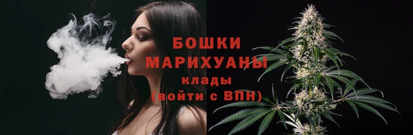 ешки Дмитровск