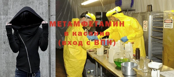 ПСИЛОЦИБИНОВЫЕ ГРИБЫ Дмитриев