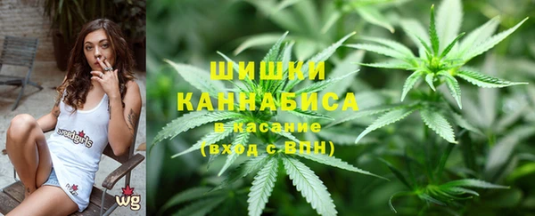 прущая мука Чегем