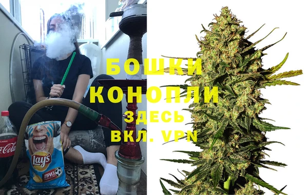 ПСИЛОЦИБИНОВЫЕ ГРИБЫ Дмитриев
